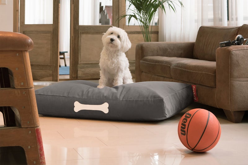 Fatboy Doggielounge Canvas Dog Bed (Large) | Sturdy & durable | Tear- and wear-resistant | Designed for indoor use | Easy to clean | Soft Canvas with Expanded Polystyrene | 80x120x15 cm - Charcoal Grey - Image 2